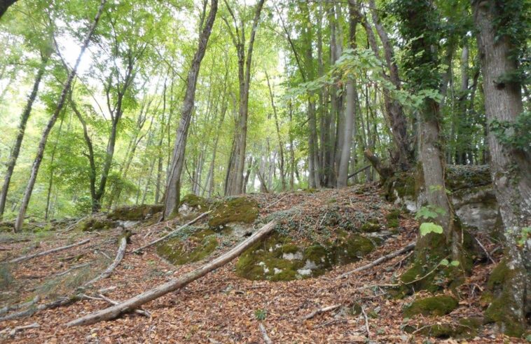 Trou des Fées Bois de Beaume-Haie