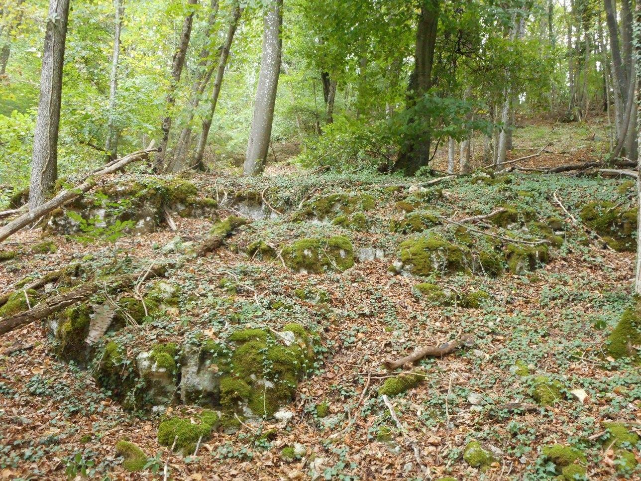 paroi rocheuse Bois de Beaume-Haie