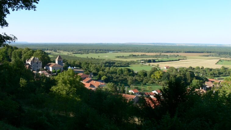 Forêt de la Reine