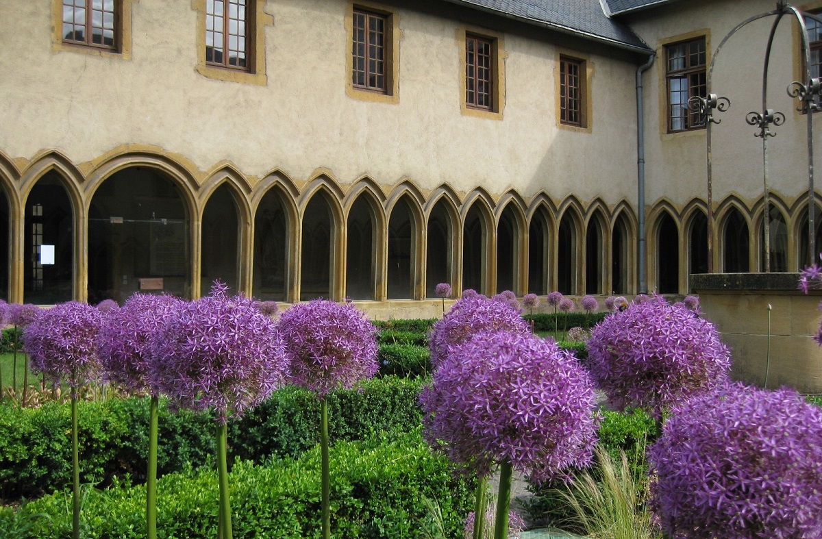 plantes médicinales et toxiques