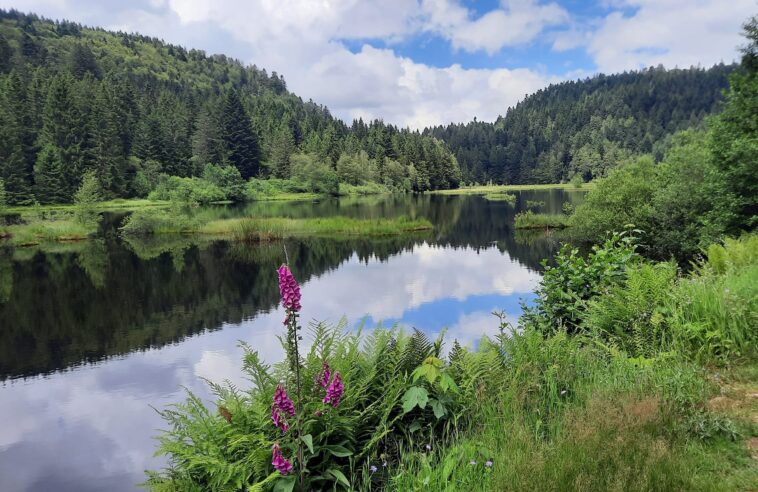 Lac de Lispach