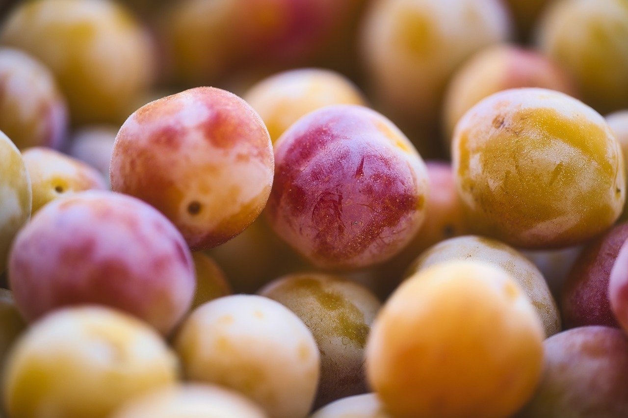 mirabelles Lorraine