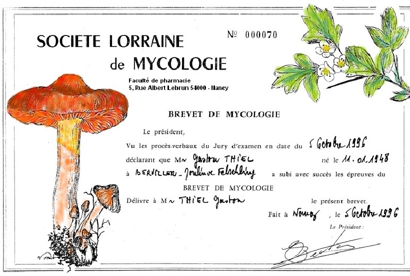 brevet de mycologie