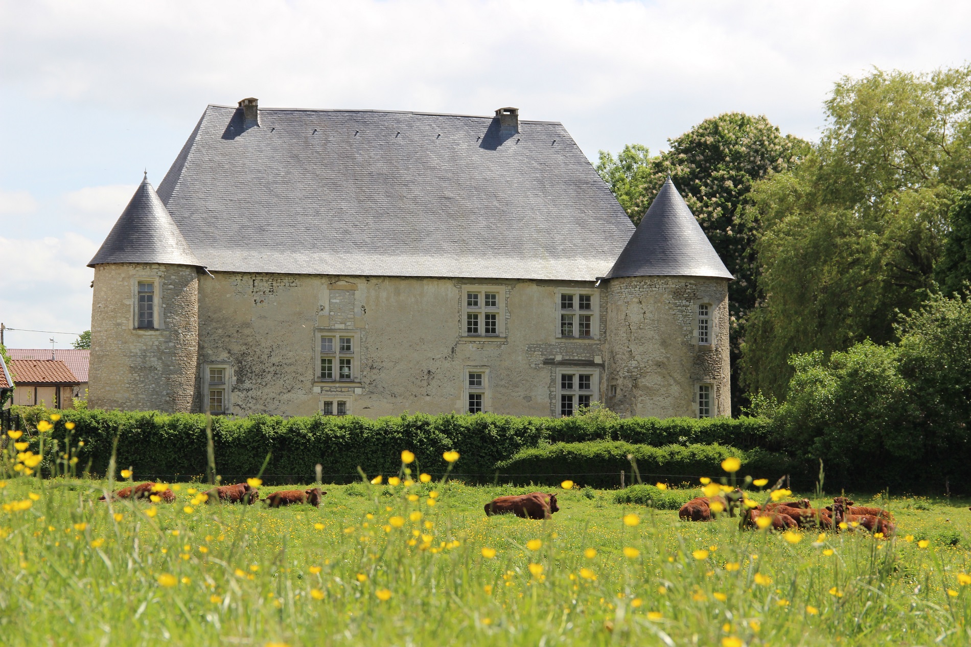 Château de Madame de Saint-Baslemont en Lorraine - BLE Lorraine